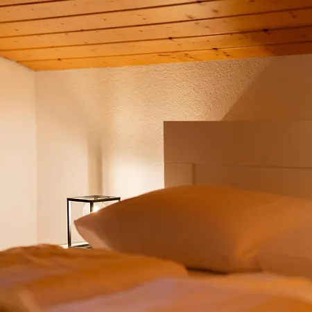 Homy Alpine Deluxe In St Anton Im Montafon Apartment *